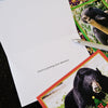 Bear Christmas cards