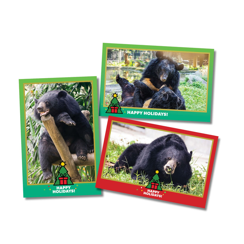 Bear Christmas cards